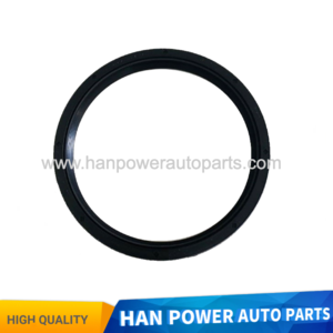 1610181 FRONT OIL SEAL FIT FOR GUASCOR ENGINE